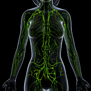 Maximize Lymphatic Drainage Benefits & Minimize Detox